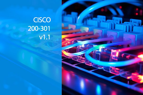 Cisco CCNA v1.1 (200-301)